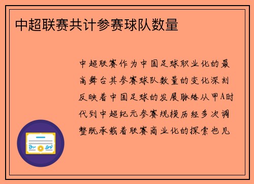 中超联赛共计参赛球队数量