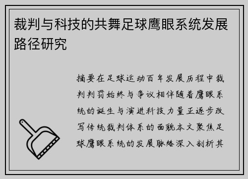 裁判与科技的共舞足球鹰眼系统发展路径研究