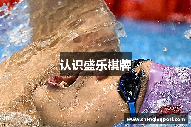 认识盛乐棋牌